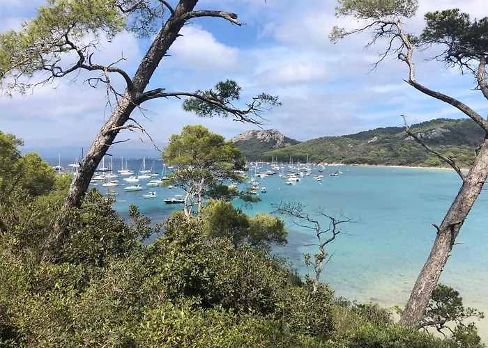 Appartement Grand Confort Porquerolles