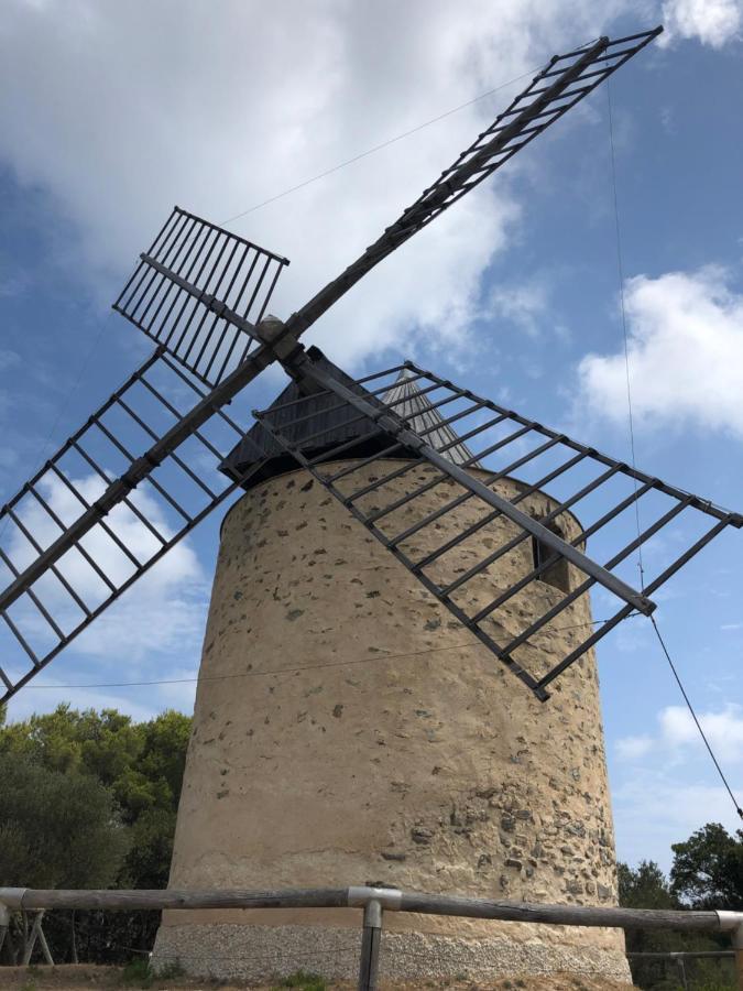 Grand Confort Porquerolles